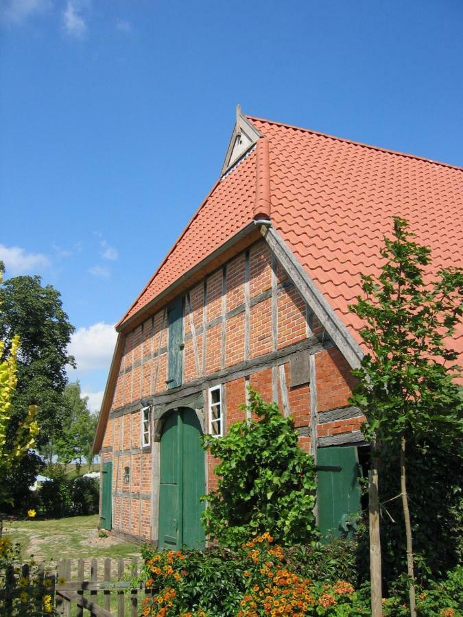Ferienwohnung Am Elbdeich Блеккеде Экстерьер фото