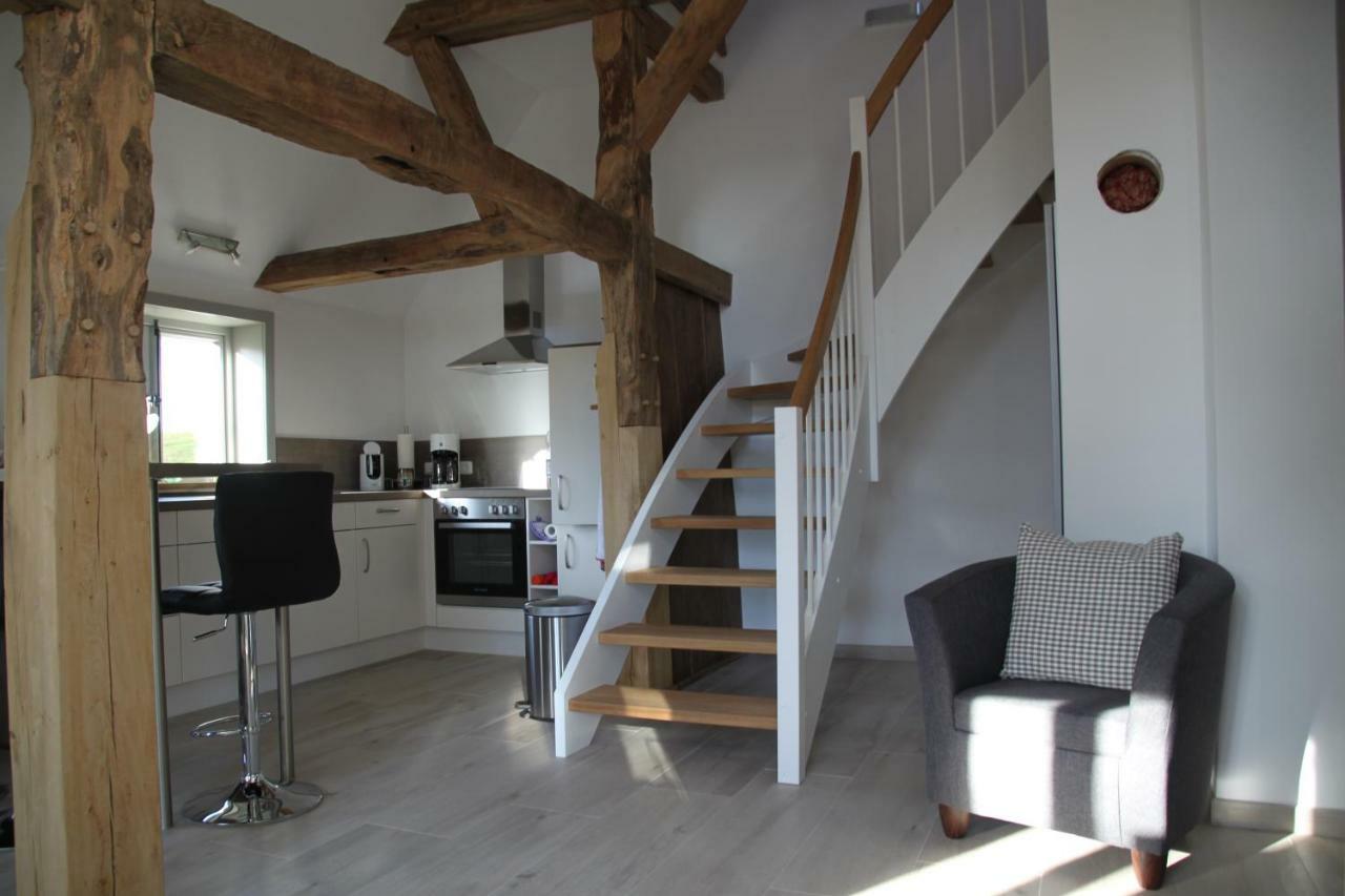 Ferienwohnung Am Elbdeich Блеккеде Экстерьер фото