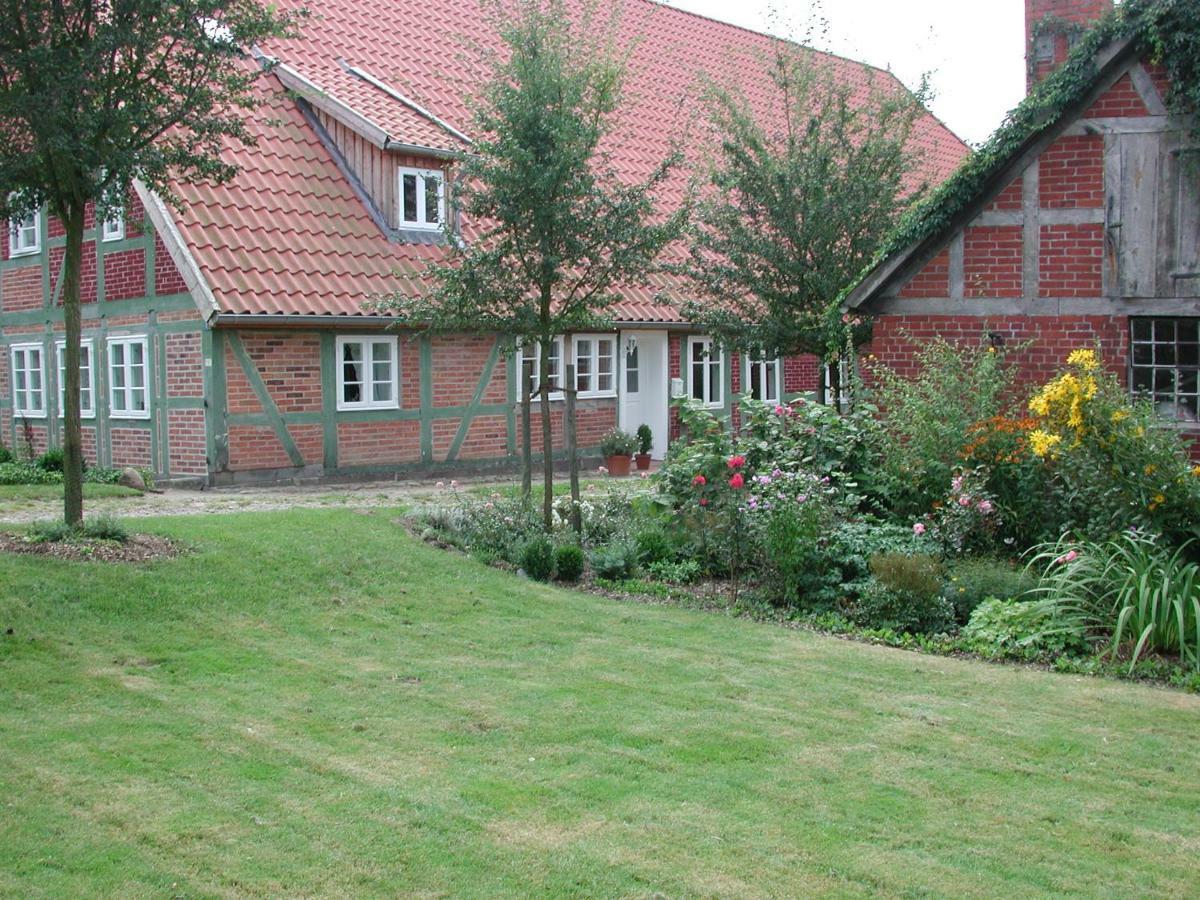 Ferienwohnung Am Elbdeich Блеккеде Экстерьер фото